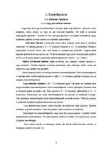 Referāts 'Apģērbs un veselība', 6.