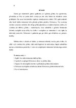 Referāts 'Renesanses ideālā pilsēta. Palmanova', 6.