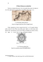 Referāts 'Renesanses ideālā pilsēta. Palmanova', 10.