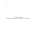 Referāts 'Renesanses ideālā pilsēta. Palmanova', 14.