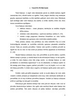 Referāts 'Valsts un tās būtība', 5.