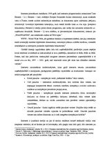 Referāts 'Reklāma internetā - priekšrocības un trūkumi', 1.