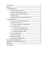 Diplomdarbs 'Efektivitātes paaugstināšanas iespējas', 5.