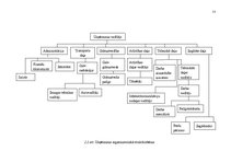 Diplomdarbs 'Efektivitātes paaugstināšanas iespējas', 21.