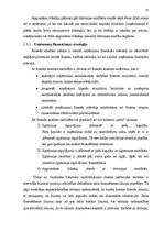 Diplomdarbs 'Efektivitātes paaugstināšanas iespējas', 31.