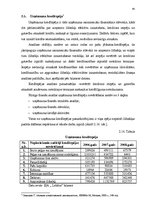 Diplomdarbs 'Efektivitātes paaugstināšanas iespējas', 45.