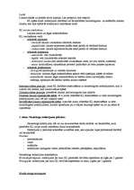 Konspekts 'Krimināltiesību vispārīgā daļa', 3.