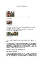 Referāts 'Māras Skrīveles ābeļu un plūmju selekcija', 6.