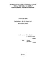 Referāts 'Monitori un to tipi', 1.