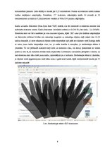 Referāts 'Monitori un to tipi', 6.