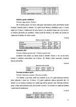 Prakses atskaite 'SIA "Sportland" finanšu analīze', 15.