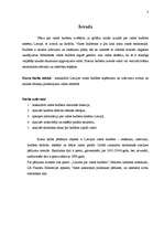 Referāts 'Latvijas valsts budžets un tā veidošana', 3.