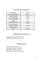 Referāts 'Kuģa reisa aprēķins', 10.