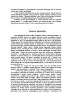 Referāts 'Makss Vēbers "Politika kā profesija un aicinājums"', 6.