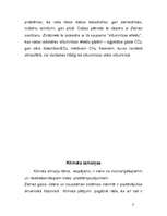 Referāts 'Globālās problēmas', 3.