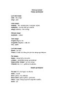 Konspekts 'Mūzikas termini', 1.