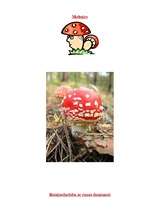 Konspekts 'Runas attīstība. Rotaļnodarbība ar runas dominanti', 2.