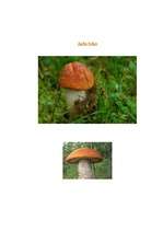 Konspekts 'Runas attīstība. Rotaļnodarbība ar runas dominanti', 11.