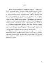 Referāts 'Organizēšanas funkcijas būtība un saturs', 3.