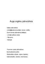 Konspekts 'Bioloģijas apakšnozares, organismu iedalījums, auga orgāni un dzīvības pazīmes', 4.