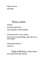 Konspekts 'Bioloģijas apakšnozares, organismu iedalījums, auga orgāni un dzīvības pazīmes', 6.