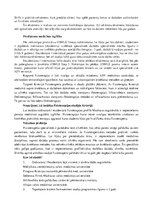 Referāts 'Fizioterapijas studiju iespējas ārzemēs', 3.