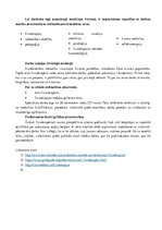 Referāts 'Fizioterapijas studiju iespējas ārzemēs', 4.