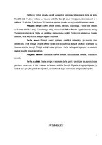 Referāts 'Sociālā tīkla Twitter.com ietekme uz biznesa attīstību Latvijā', 3.