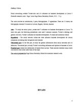 Referāts 'Sociālā tīkla Twitter.com ietekme uz biznesa attīstību Latvijā', 4.