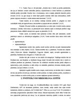 Referāts 'Sociālā tīkla Twitter.com ietekme uz biznesa attīstību Latvijā', 9.