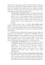Referāts 'Mazo un vidējo uzņēmumu loma tautsaimniecībā.', 12.