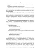 Referāts 'Mazo un vidējo uzņēmumu loma tautsaimniecībā.', 19.