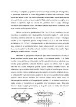 Diplomdarbs 'Herkonu dinamikas un magnētiskā lauka pētījumi', 10.