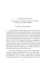 Diplomdarbs 'Herkonu dinamikas un magnētiskā lauka pētījumi', 13.