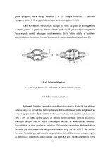 Diplomdarbs 'Herkonu dinamikas un magnētiskā lauka pētījumi', 14.