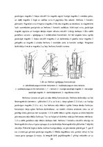 Diplomdarbs 'Herkonu dinamikas un magnētiskā lauka pētījumi', 29.