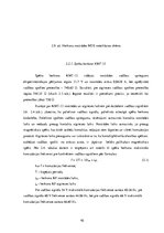 Diplomdarbs 'Herkonu dinamikas un magnētiskā lauka pētījumi', 42.