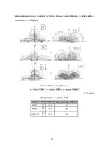 Diplomdarbs 'Herkonu dinamikas un magnētiskā lauka pētījumi', 55.