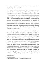 Referāts 'Valsts un likumdošanas loma starptautiskā biznesa attīstībā', 5.