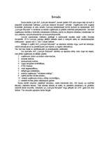 Referāts 'A/s "Latvijas Balzams" mārketinga vides un stratēģijas analīze un darbības plāno', 3.