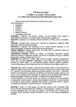 Referāts 'A/s "Latvijas Balzams" mārketinga vides un stratēģijas analīze un darbības plāno', 6.