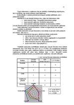 Referāts 'A/s "Latvijas Balzams" mārketinga vides un stratēģijas analīze un darbības plāno', 12.