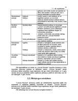 Referāts 'A/s "Latvijas Balzams" mārketinga vides un stratēģijas analīze un darbības plāno', 22.