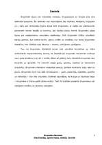 Referāts 'Bruņinieku literatūra', 3.