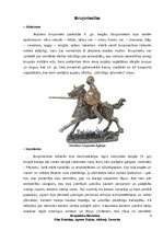 Referāts 'Bruņinieku literatūra', 4.