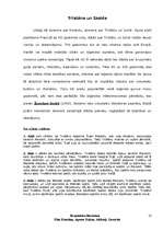 Referāts 'Bruņinieku literatūra', 10.