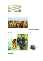 Referāts 'Mācību priekšmets "Uzturs" 5.klasei', 22.