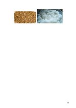 Referāts 'Mācību priekšmets "Uzturs" 5.klasei', 23.