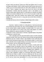 Referāts 'Aura un čakras', 8.