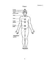 Referāts 'Aura un čakras', 42.